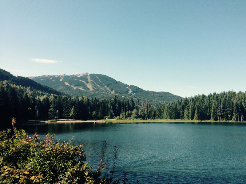 Forest & Lake destination8