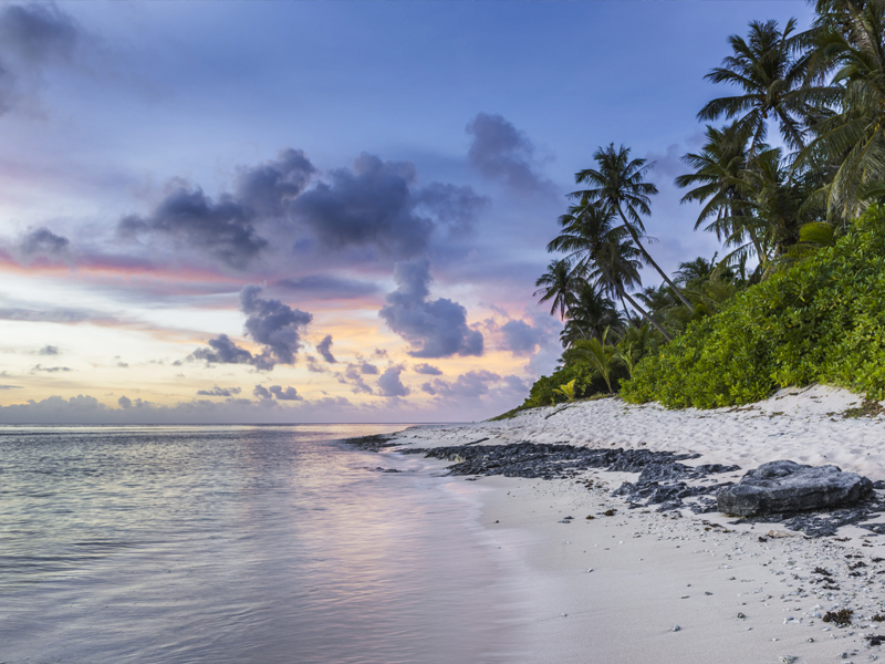 Palm Lined Beach destination9